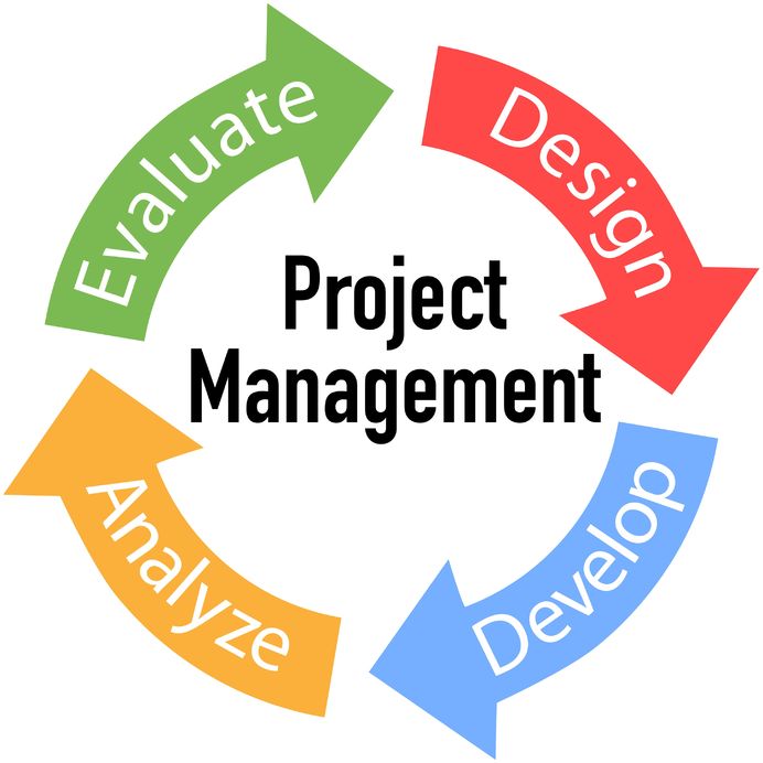 project management essay